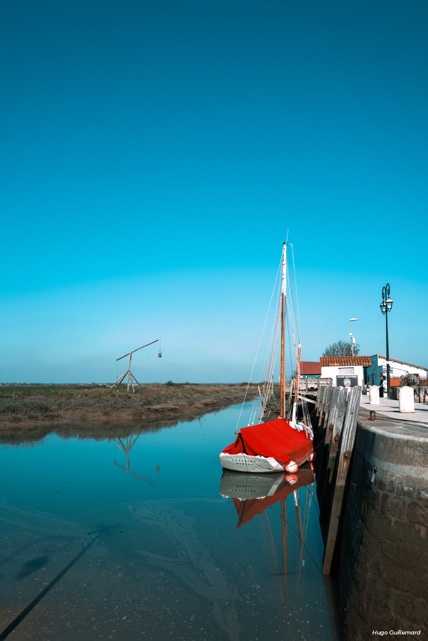 Aux alentours de La Grange des Sens : Mornac